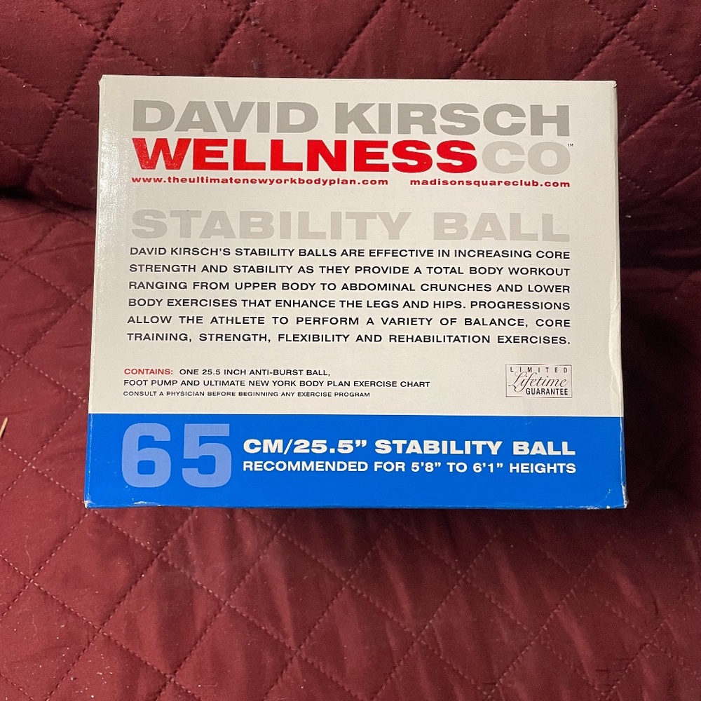 David Kirsch Wellness Stability Ball NEW